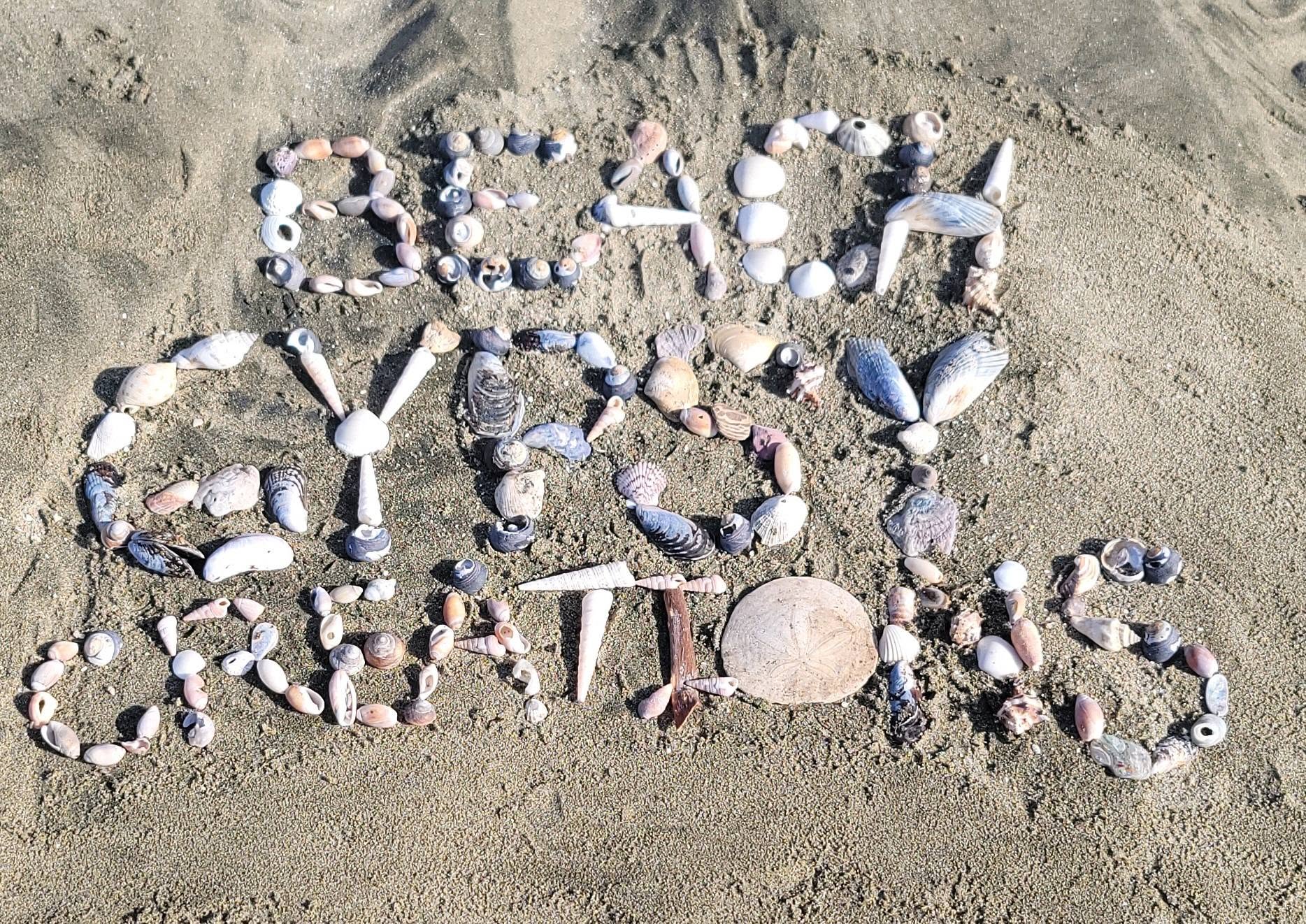 Beach Gypsy Creations written in shells on wet sand, sand dollar for the T