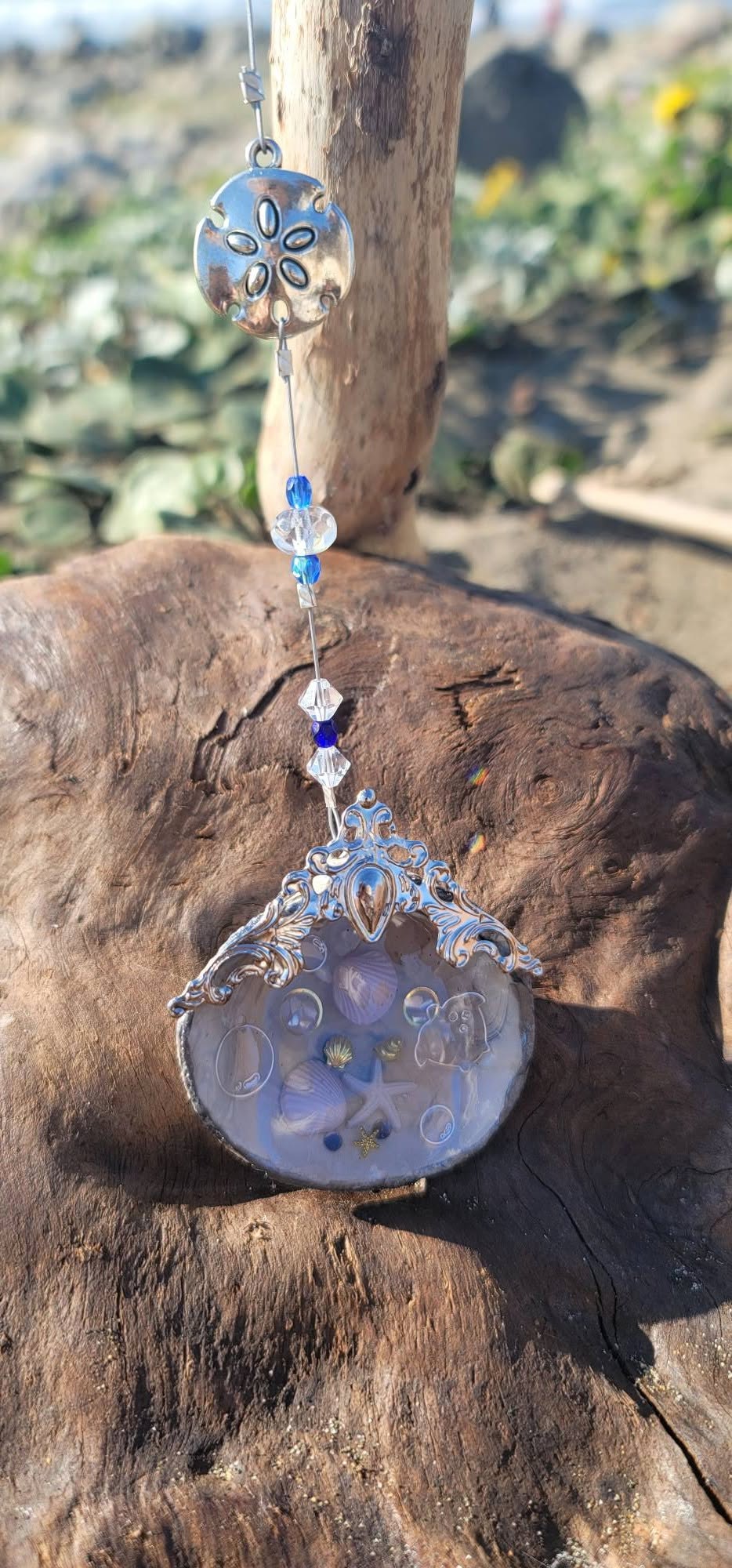 Single hanging shell on driftwood with sand-dollar charm